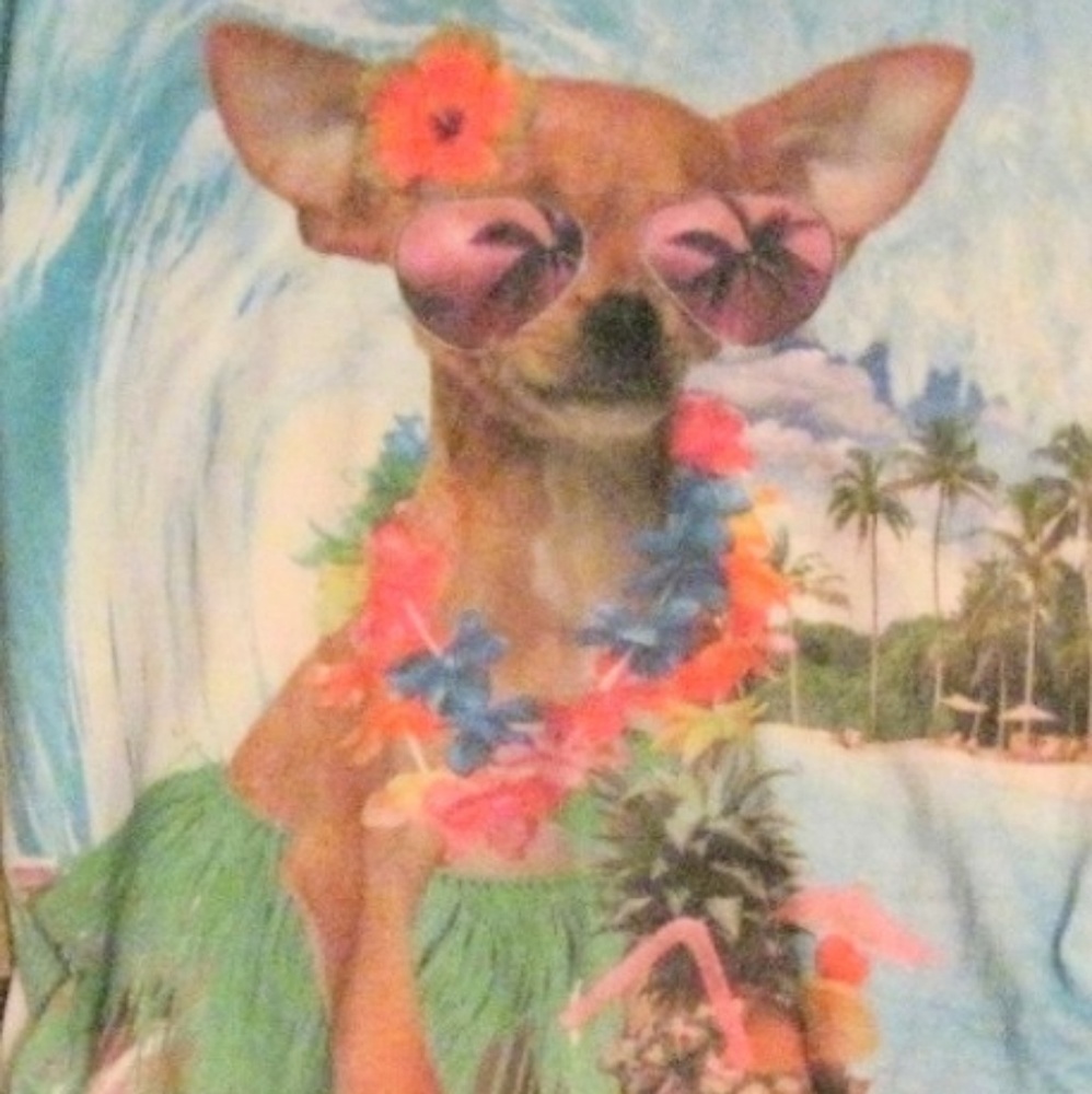 Star ride girl's Chihuahua tank*2xhost pick